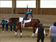 voltitag 2009 _CD1 105